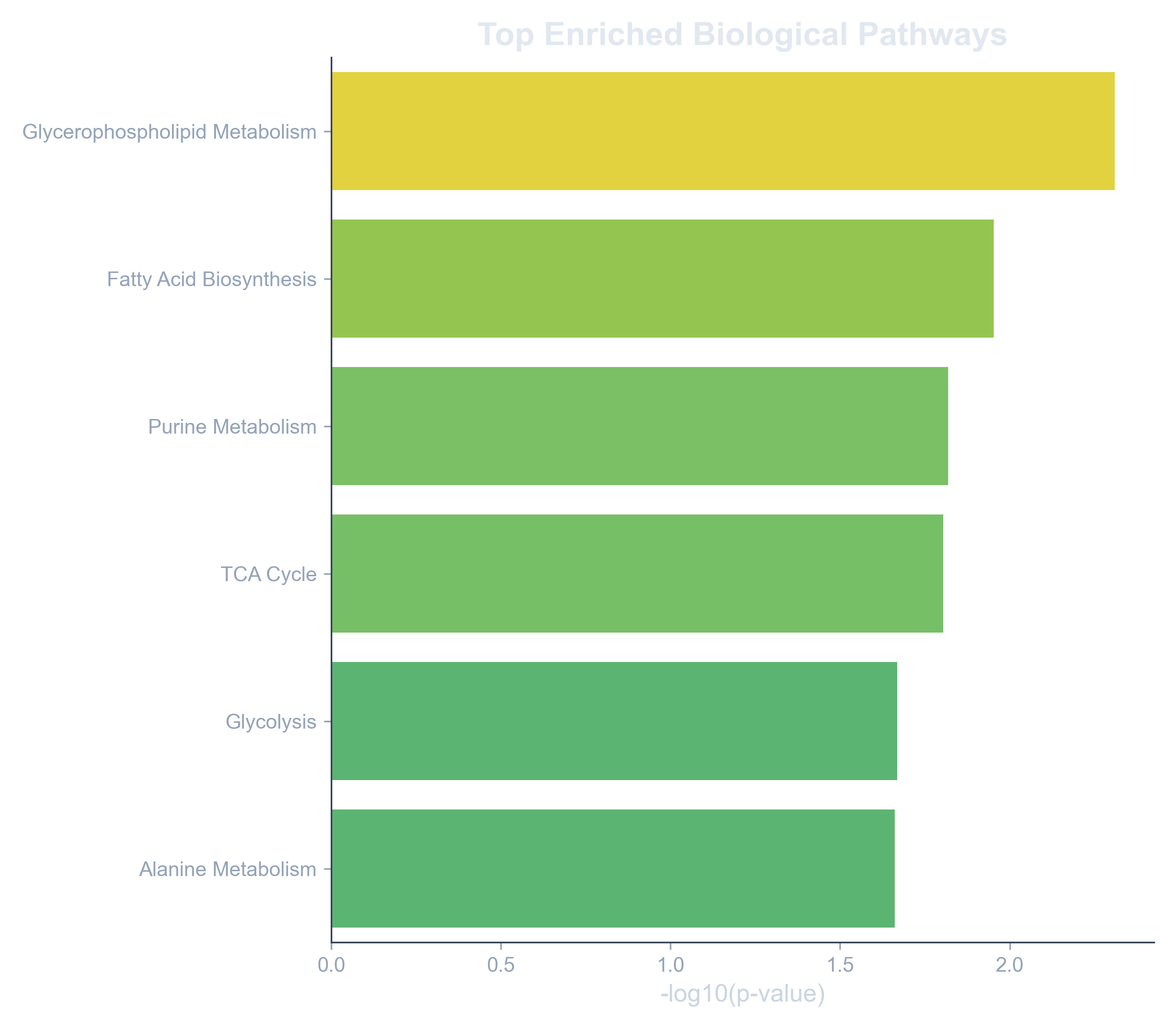 Enrichment Analysis Plot
